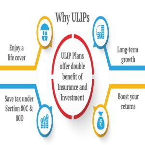 Understanding ULIPs (Unit Linked Insurance Plans)